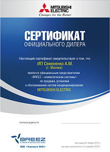 Сертификат лучшего официального дилера в мире